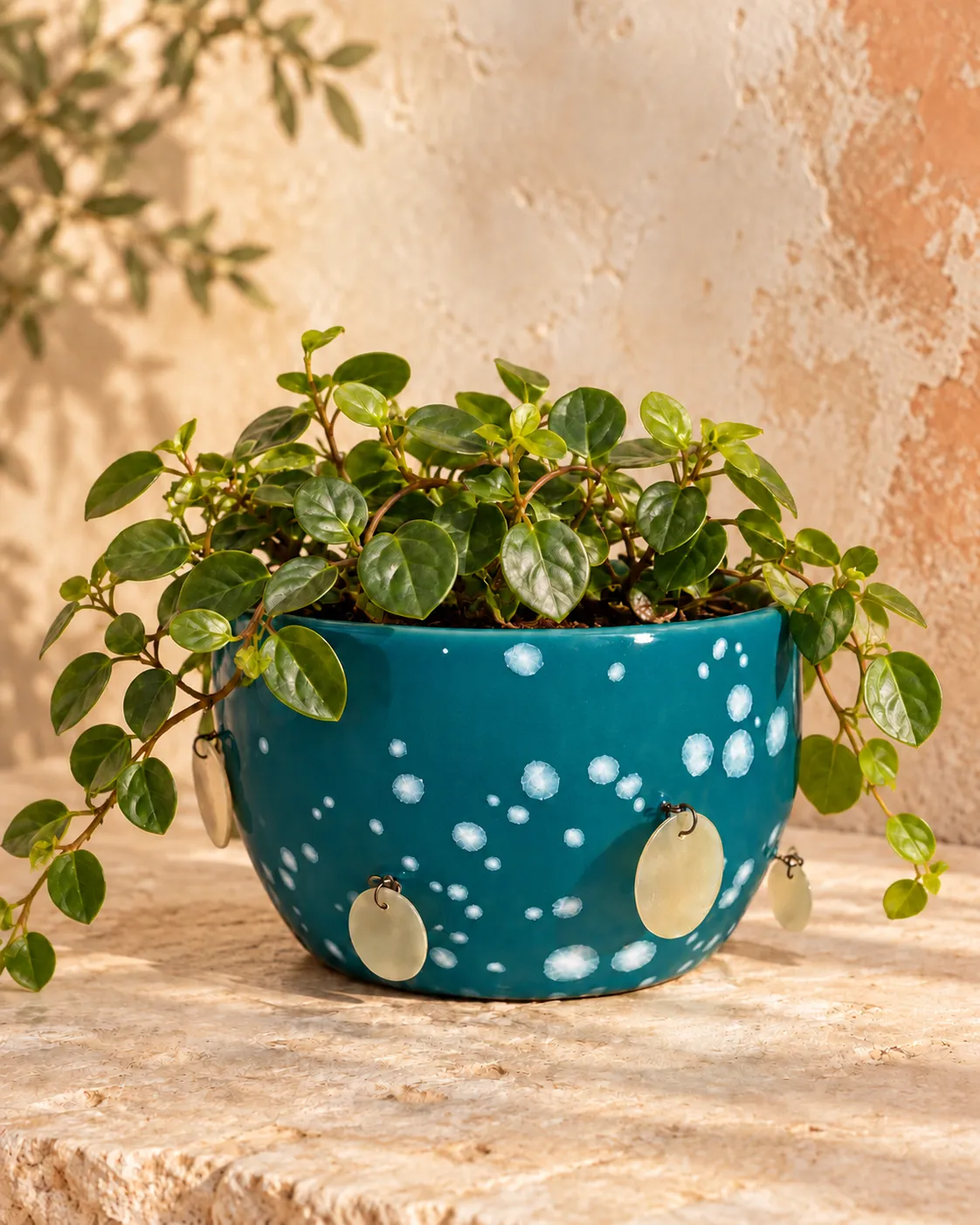 A teal planter with a white speckled glaze and small brass discs hung round it, holding a trailing green plant